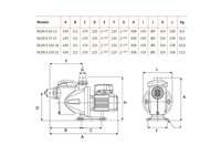 Bomba Silen S 100 18M 1 CV ESPA. 203149