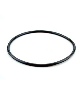 Junta tapa filtro modelo Berlin de Astralpool. 4404070101