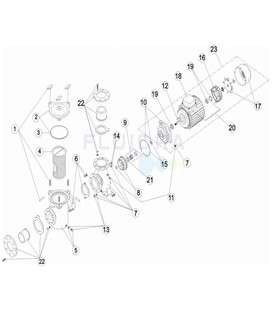 Junta cuerpo bomba 3HP a 5,5HP Astralpool. 4405020233