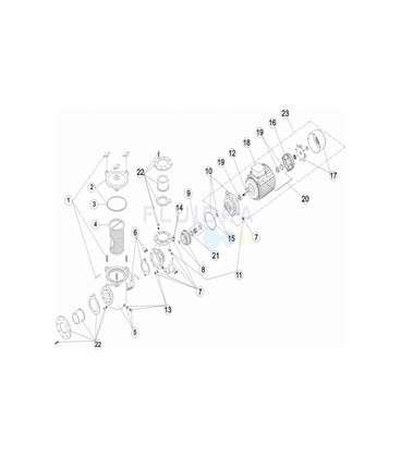 Junta cuerpo bomba 3HP a 5,5HP Astralpool. 4405020233