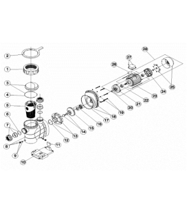 Junta brida motor bomba Astral Glass Plus Astralpool. 4405010606