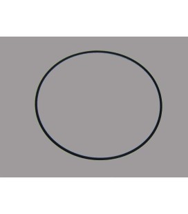 Junta aro fijación válvula Astralpool. 4404260106