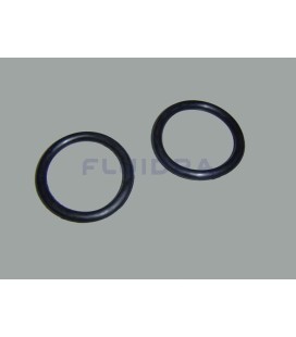 JUNTA TORICA D. 60x8 Astralpool. 4404040115