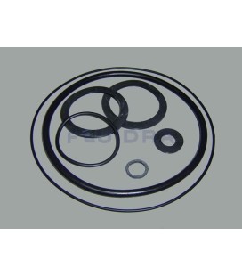 JUNTAS DE GOMA 0,5 HP 2 HP ASTRALPOOL. 4405010103