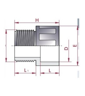 Terminal rosca macho PVC Diámetro 63 a 2" Cepex. 02107 2