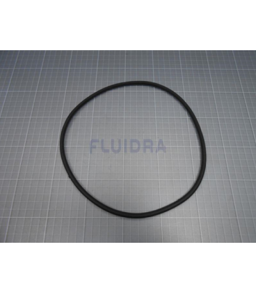 JUNTA TORICA 209X6 ASTRALPOOL....