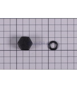 Tapón pequeño inyección vaso Dual Pure Astralpool. 4408060008