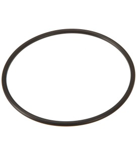 JUNTA TÓRICA CUERPO BOMBA ASTRAL GLASS. 01163R0012