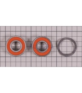 RODAMIENTO TRASERO 6203 ASTRALPOOL. 4405010742