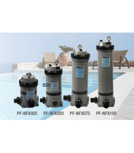 Filtro Poolex Monocartucho Netflux 25. PF-NFX025 2