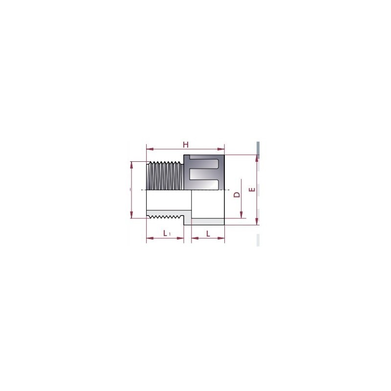 Terminal rosca macho PVC D.50 a 1 1/2" Cepex