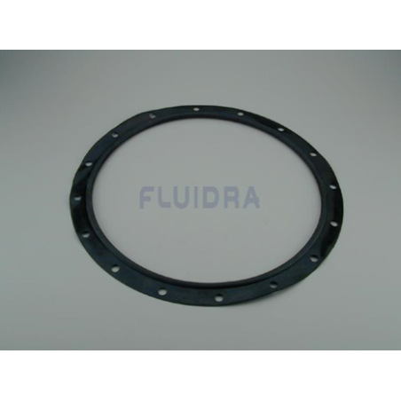 Junta tórica tapa filtro Praga Astralpool. 4404160101