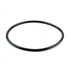 Junta tapa filtro modelo Berlin de Astralpool. 4404070101