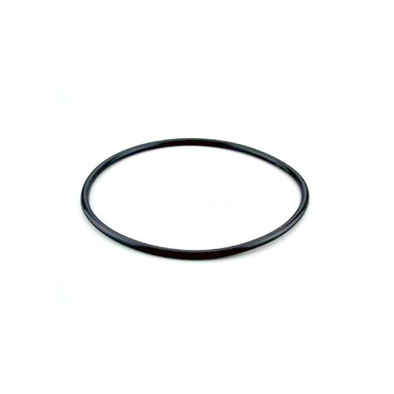Junta tapa filtro modelo Berlin de Astralpool. 4404070101