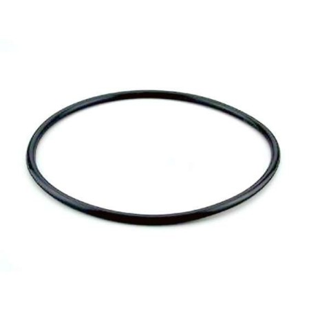Junta tapa filtro modelo Berlin de Astralpool. 4404070101