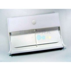 Recambio compuerta skimmer con bisagra Astralpool