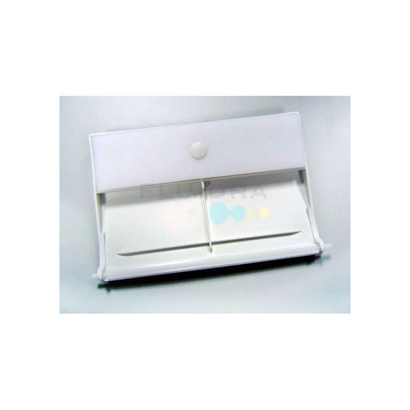 Recambio compuerta skimmer con bisagra Astralpool