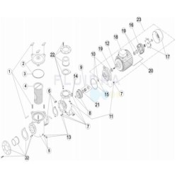 Junta cuerpo bomba 7,5HP a 12,5HP Astralpool. 4405020234