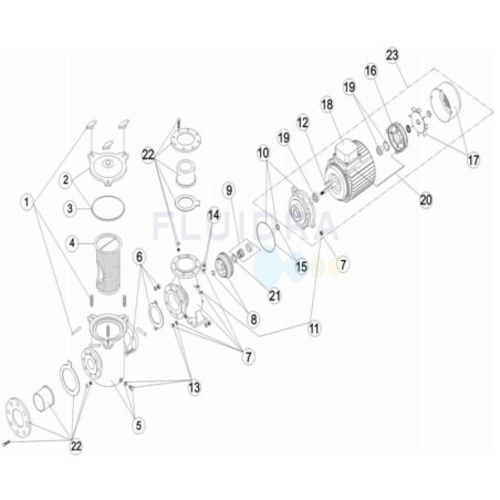 Junta cuerpo bomba 7,5HP a 12,5HP Astralpool. 4405020234