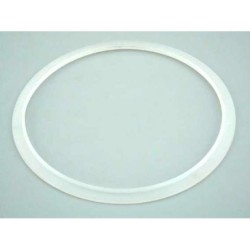 Junta silicona proyector extra plano Astralpool. 4403010102