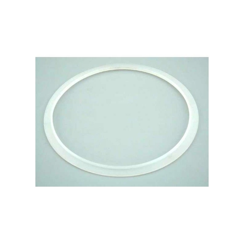 Junta silicona proyector extra plano Astralpool. 4403010102