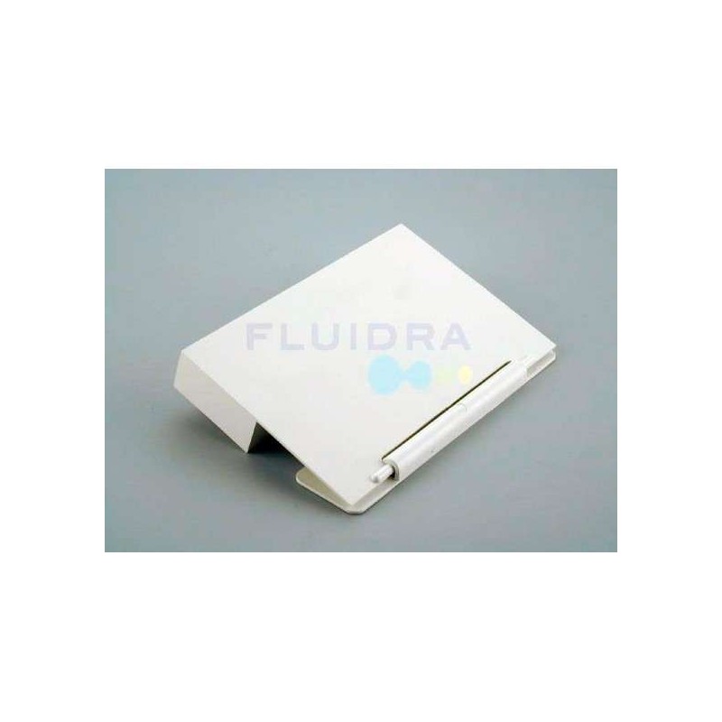 Recambio compuerta skimmer antigua Astralpool