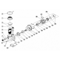 Junta brida motor bomba Astral Glass Plus Astralpool. 4405010606