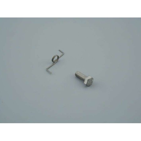 Muelle gatillo y tornillo Astralpool. 4401090906