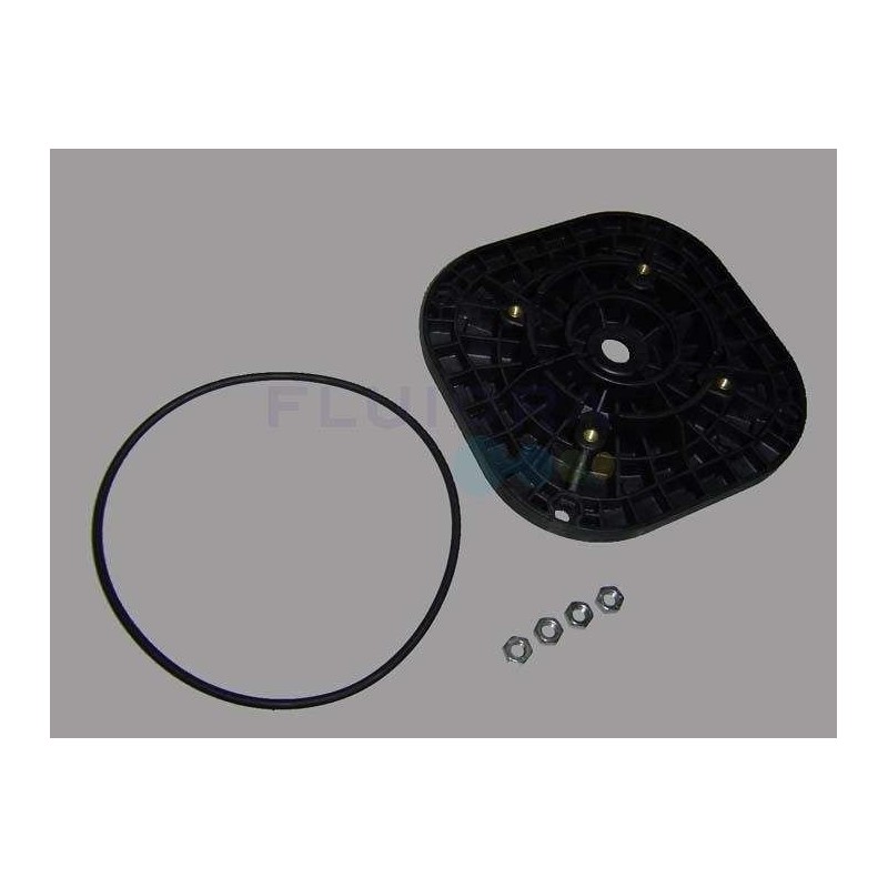 BRIDA MOTOR C71 SENA 3/4-1-1'25CV ASTRALPOOL. 4405010419