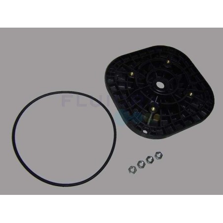 BRIDA MOTOR C71 SENA 3/4-1-1'25CV ASTRALPOOL. 4405010419