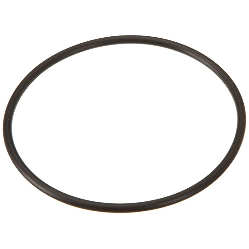 JUNTA TÓRICA CUERPO BOMBA ASTRAL GLASS. 01163R0012