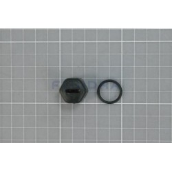 TAPÓN RODETE M10 RIGHT BOMBA ASTRALPOOL. 4405010209