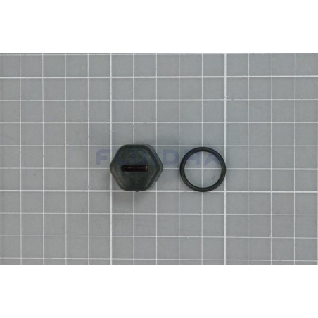 TAPÓN RODETE M10 RIGHT BOMBA ASTRALPOOL. 4405010209