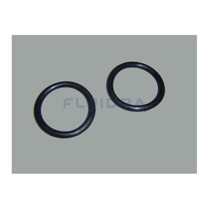 JUNTA TORICA D. 60x8 Astralpool. 4404040115