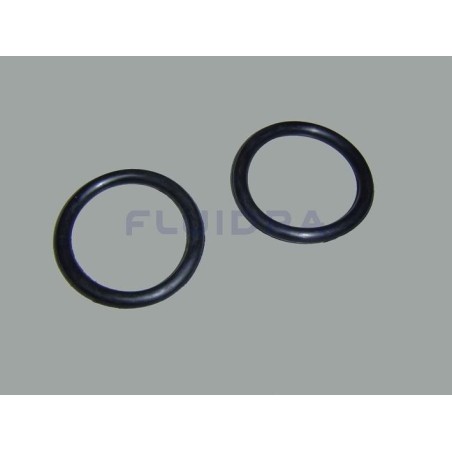 JUNTA TORICA D. 60x8 Astralpool. 4404040115