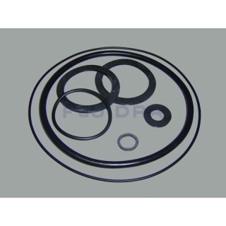 JUNTAS DE GOMA 0,5 HP 2 HP ASTRALPOOL. 4405010103