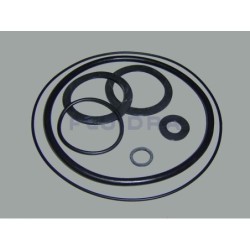 JUNTAS DE GOMA 0,5 HP 2 HP ASTRALPOOL. 4405010103