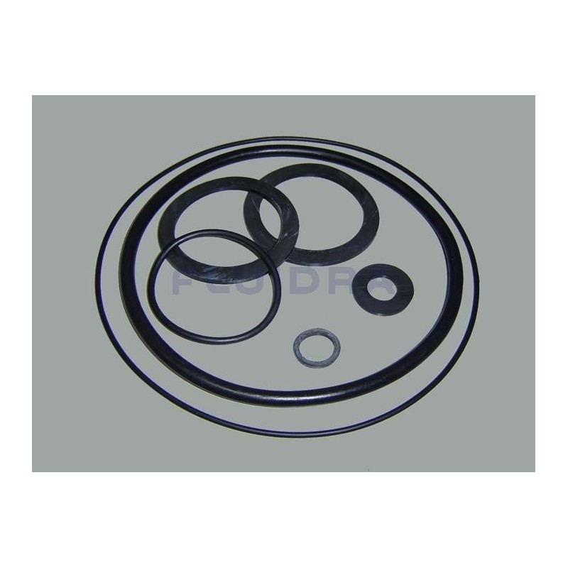 JUNTAS DE GOMA 0,5 HP 2 HP ASTRALPOOL. 4405010103