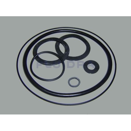 JUNTAS DE GOMA 0,5 HP 2 HP ASTRALPOOL. 4405010103