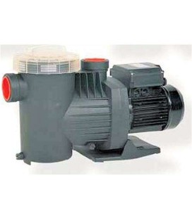 Bomba Saci Winner 100m 1CV. SAWIN100M