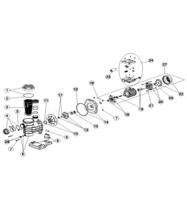 Rodete 1hp 50hz Astralpool. 4405010416