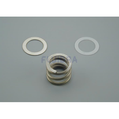 RESORTE CON ARANDELAS Astralpool. 4404120105
