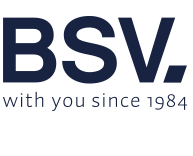 logo%20bsv.png