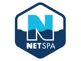 logo-netspa.png